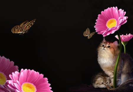 Kitten So Sweet - love, cat, kitty, feline, black, mother cat, kitten, nature, butterfly, fleurs, mothers day, flowers, papillon, butterflies