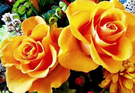 You and me - flowers, roses, nature, yellow, beautiful, two, together, beauty