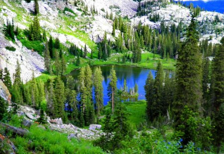 Mountain lake - nice, lake, mountain, trees, greenery, summer, lovely, rocks, nature, view, pretty, reflection, blue, beautiful, green, cliffs