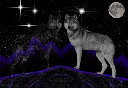 wolf illusion - wolfrunning, snow, dog, mythical, the pack, wisdom beautiful, grey wolf, timber, canis lupus, abstract, spirit, friendship, howling, grey, white, nature, arctic, wallpaper, majestic, wolf, canine, pack, wild animal black, wolf wallpaper, winter, wolf pack, quotes, howl, wolves, black, lobo, lone wolf, solitude