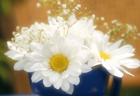 White flowers - bokeh, flower, cup, white petals