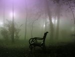 Misty place to sit