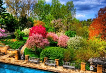 Park beauty - benches, flowers, bushes, trees, park, colors