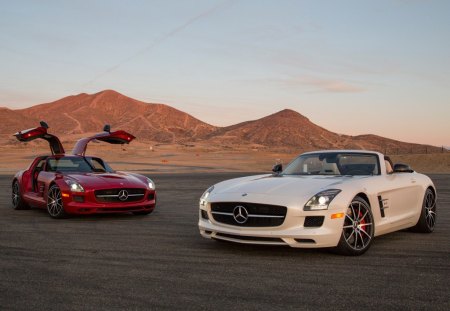 Mercedes-Benz SLS - white, conv, gull wing, red