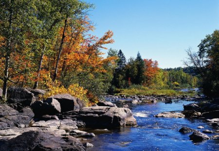 River in Canada - sky, autumn, trees, water, rocks, nature, forest, flowing, river, leaves, canada