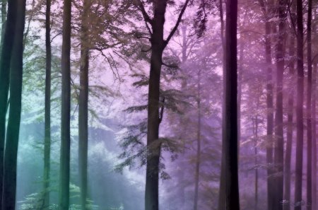 ..Everything is good in its Season.. - scenery, creative pre-made, premade BG, stunning, forests, view, mist, landscapes, woods, trees, fog, beautiful, backgrounds, colors, cool, resources, nature, stock images, places