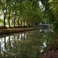 A Walk by the River