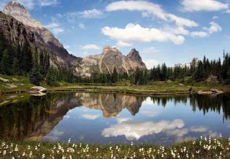 Yoho National Park, Canada - lake, sky, mountain, trees, daylight, day, water, nature, forest, reflection, clouds, flowers, grass, land