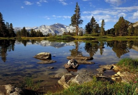 Yosemite National Park, California - clouds, trees, water, rock, forest, reflection, daylight, mountain, nature, lake, day, sky