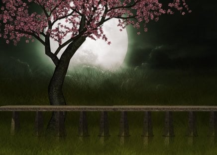 ...Sweet of Cherry Tree... - scenery, creative pre-made, grass, premade BG, flowers, magnificent, splendid, cherry tree, trees, beautiful, backgrounds, colors, cool, fence, moonlight, resources, moons, nature, stock images