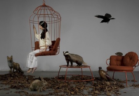 Girl - cage, chair, girl, animals, setting, bird, surreal