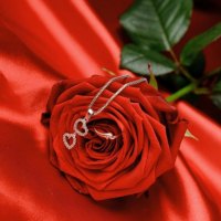 Red rose