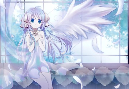 Tenshi - white, feathers, sunlight, angel, beautiful, tenshi, anime, wings