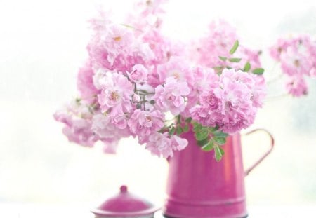 Lovely pink - flowers, jar, petals, pink