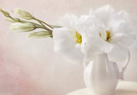 White petals - flowers, white, petals, jar