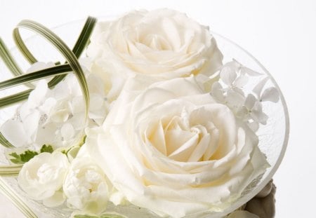 White roses - flowers, white, bowl, rose, petals