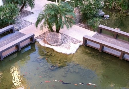 Follow Me - court yard, water, Koi, fish pond