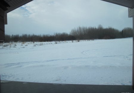 Snow in my backyard - white, fields, trees, photography, clouds, snow, winter