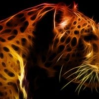 leopard art