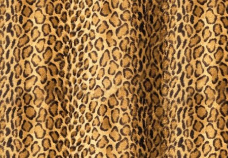 leopard,textures - wallpapers, leopard, prints, textures