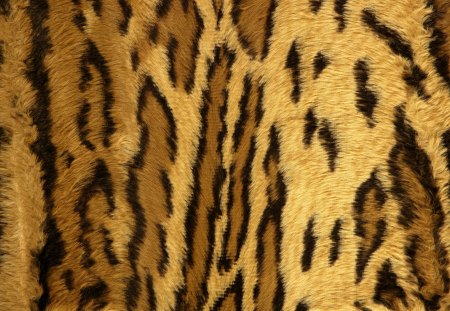 leopard print - wallpaper, leopard, prints, textures