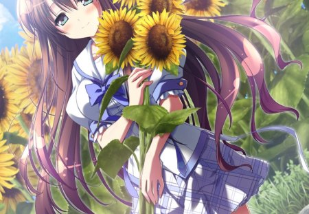 Anime - flowers, school uniform, long hair, anime