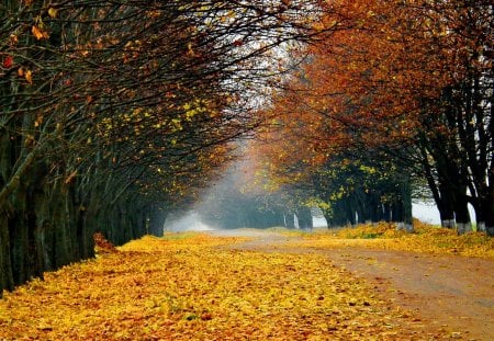 Autumn - colorful, landscape, nature, autumn