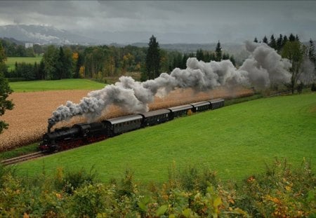 Amazing - train, nature, green, amazing