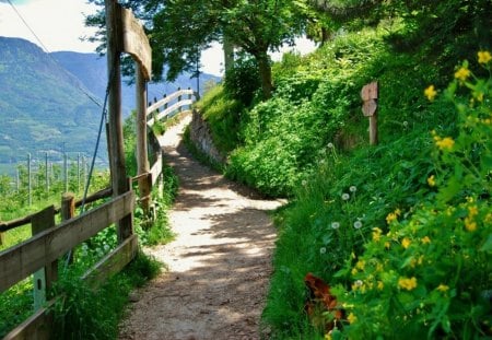 Awesome - nature, beautiful, green, awesome, road, germany