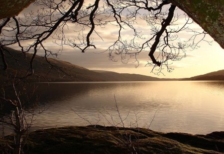 lake framed by a tree - lake, tree, shore, sunset