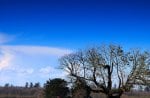 bright sunny day on a farm