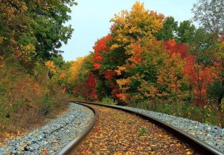 train tracks through an autumn forest - autumn, forest, train tracks, rocks, leaves