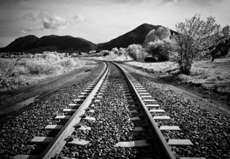 tracks in the countryside - train tracks, trees, blackandwhite, clouds, countryside, black and white, tracks, mountains