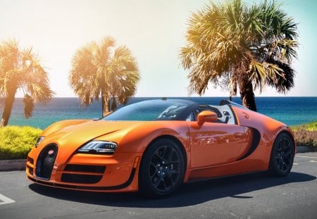 orange bugatti veyron by the sea - orange, trees, car, sea