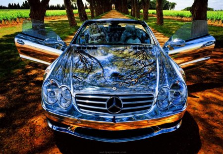 mirrored mercedes benz - doors, trees, car, road, mirrored, reflection