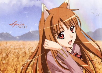 ~Spice & Wolf~ - long hair, landscape, holo, fields, anime, spice and wolf