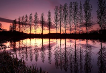 sunset on a mirrored lake - lake, trees, sunset, reflection