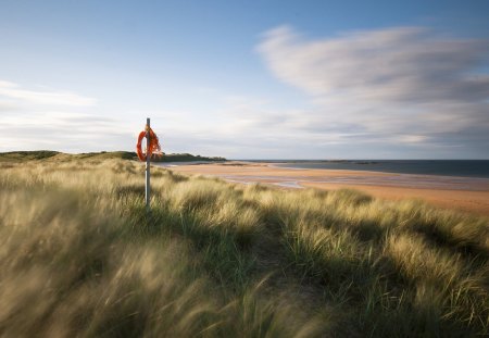 wonderful grassy beach - beach, wind, gras, clouds