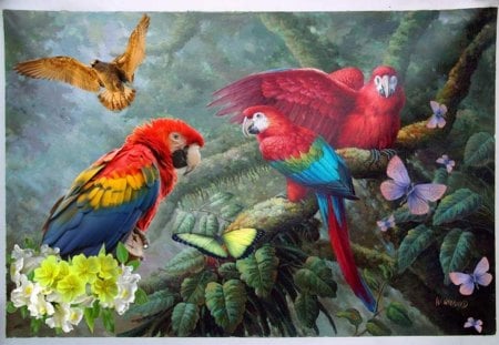 In the Jungle - jungle, color, birds, tree