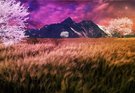 ✰Nature is the true beautiful✰ - Bg1310, splendor, flowers, premade, magnificent, grasses, AshenSorrow, cottage, sky, clouds, breeze, true, trees, fields, beautiful, backgrounds, colors, lovely, cool, natural, colorful, resources, nature, stock images, stunning place