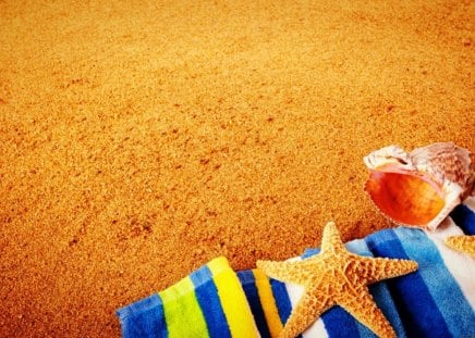 Starfish - starfish, beach, clam, joy, holiday, summer, sunny