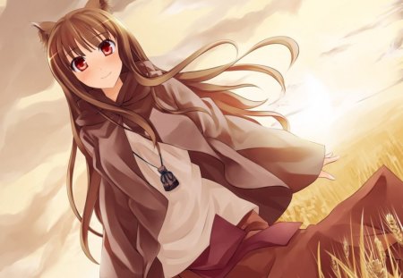 ~Holo~ - fields, spice and wolf, anime, sunset, holo