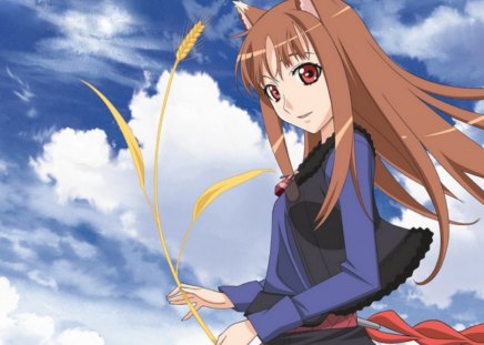 ~The Lovely Holo~ - clouds, pretty, anime, spice and wolf, holo, sky