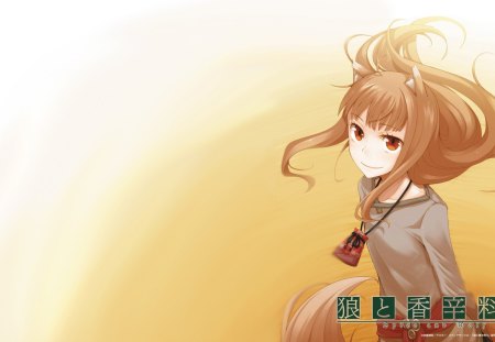 Spice & Wolf - tail, wolf ears, long hair, holo, anime, spice and wolf