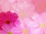 Pink flowers abstract