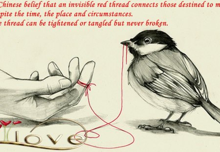 what can not separate us ... - bird, drawing, parable, hand, quotes, words