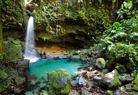 Waterfall - nature, falls, waterfall, jungle