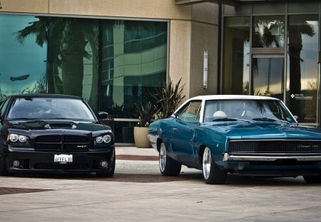 Dodge Charger - Car, fast, Charger, Dodge