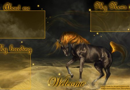 Layout - gold, horse, layout, fantasy