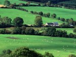 farms in county cork ireland